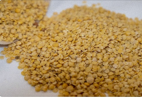Lenticchia Gialla